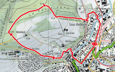 Balade de novembre 2025