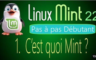 Mint, le groupe