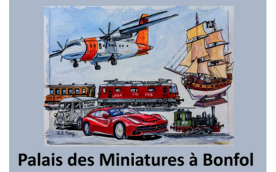 CAID : Sortie annuelle